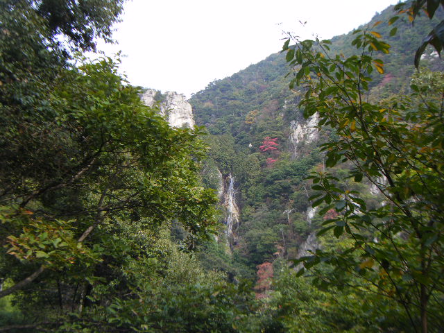 揚梅滝の雄滝